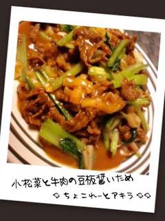 小松菜と牛肉の豆板醤いため-レシピのメイン写真