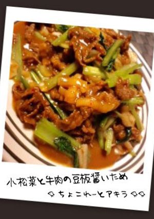 小松菜と牛肉の豆板醤いため-レシピのメイン写真