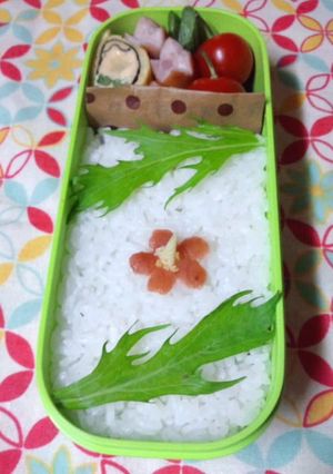 夏のお弁当に？☆梅ビスカス-レシピのメイン写真