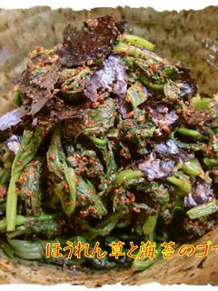 ほうれん草と海苔のゴマ和え♪-レシピのメイン写真