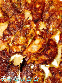 ツナ明太餃子-レシピのメイン写真