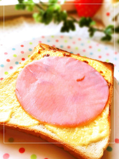 ハム後のせ♫こ~んがりマヨトースト-レシピのメイン写真