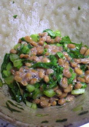 五郎平(ごろべい)納豆-レシピのメイン写真