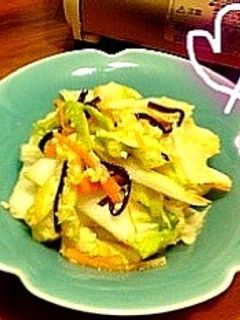 白菜と塩麹の浅漬け-レシピのメイン写真