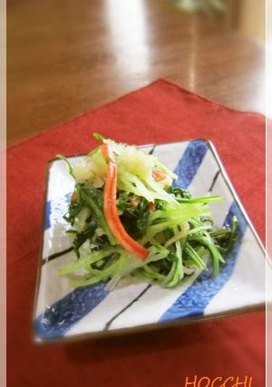 水菜をパッと茹でてめんつゆミゾレ和え♪-レシピのメイン写真