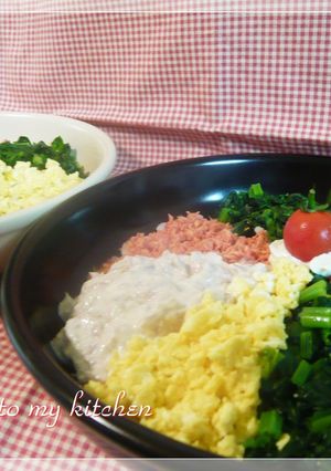 シリーズ④５色丼☆彡-レシピのメイン写真