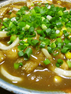 残ったカレーで❀カレーうどん-レシピのメイン写真