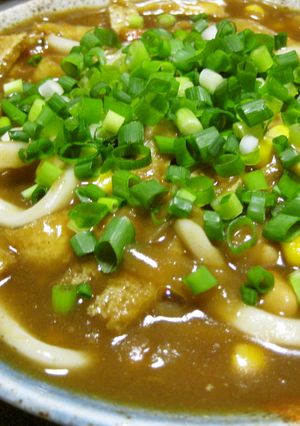残ったカレーで❀カレーうどん-レシピのメイン写真
