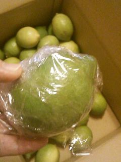 まるごとレモンの保存-レシピのメイン写真