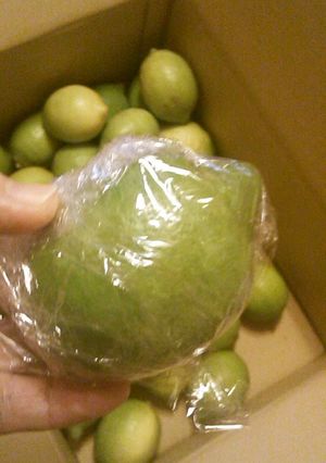 まるごとレモンの保存-レシピのメイン写真