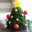 クリスマスに♪ブロッコリーのツリーサラダ
