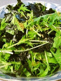 水菜の胡麻和え海苔っとサラダ-レシピのメイン写真