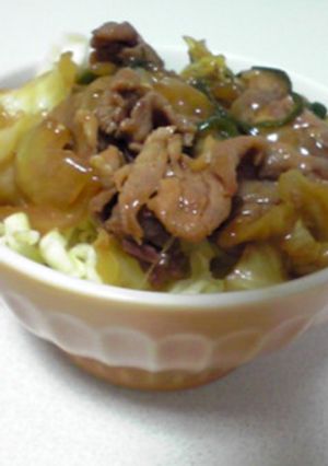 豚肉の生姜焼き丼-レシピのメイン写真