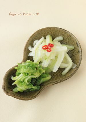 冬の香り✿白だしで簡単！白菜の漬物-レシピのメイン写真