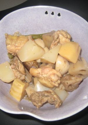 とりモモ肉と7種野菜の煮物-レシピのメイン写真