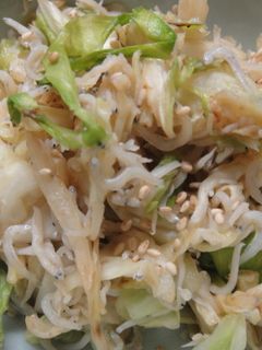 きゃべつしらすの炒め物-レシピのメイン写真