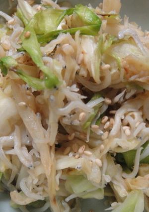 きゃべつしらすの炒め物-レシピのメイン写真