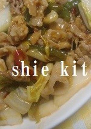 豚肉と白菜のピリ辛中華炒め-レシピのメイン写真