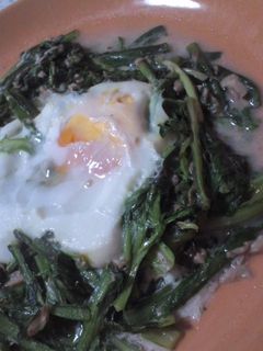 菊菜とツナのホットサラダ-レシピのメイン写真