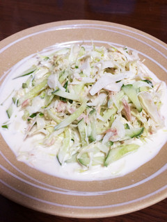 いくらでも食べれちゃうキャベツの千切り-レシピのメイン写真