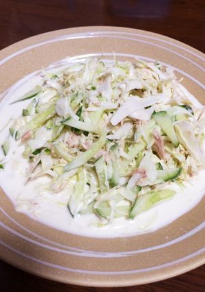 いくらでも食べれちゃうキャベツの千切り-レシピのメイン写真