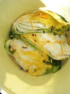 お母さんの愛情いっぱい 白菜の漬物-レシピのメイン写真