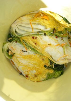 お母さんの愛情いっぱい　白菜の漬物-レシピのメイン写真
