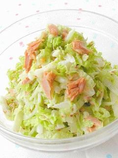 ○たっぷり白菜サラダ○-レシピのメイン写真