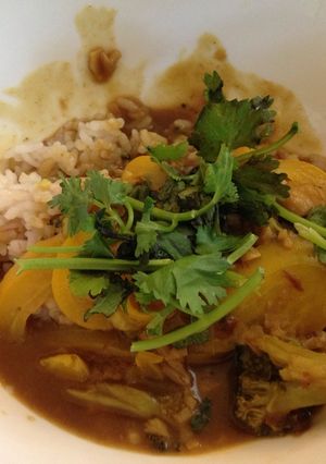 ココナッツカレー-レシピのメイン写真