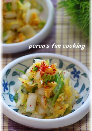 即席漬けもの＊白菜の昆布茶和え大蒜風味-レシピのメイン写真