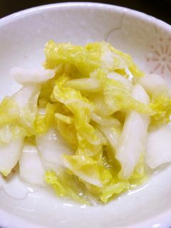 白菜の塩麹浅漬け-レシピのメイン写真