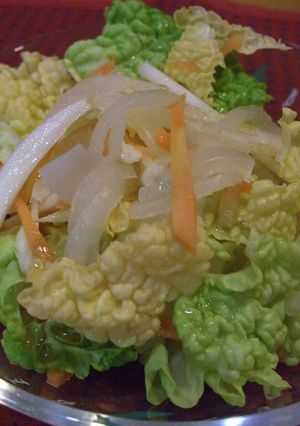 オレンジ白菜と甘酢玉ねぎのサラダ-レシピのメイン写真