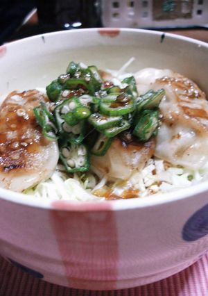 餃子ののっけ丼-レシピのメイン写真