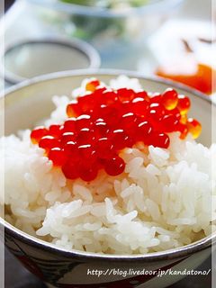 超簡単!失敗知らず!いくら醤油漬け-レシピのメイン写真