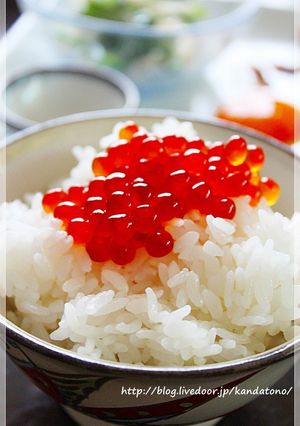 超簡単!失敗知らず!いくら醤油漬け-レシピのメイン写真
