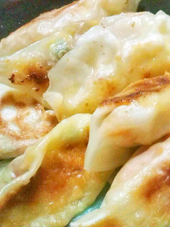 納豆キャベツキムチーズ餃子-レシピのメイン写真