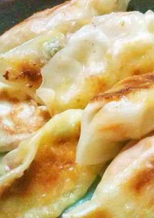 納豆キャベツキムチーズ餃子-レシピのメイン写真