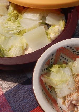 シリコンたじん鍋で～鶏ムネ肉と白菜蒸-レシピのメイン写真
