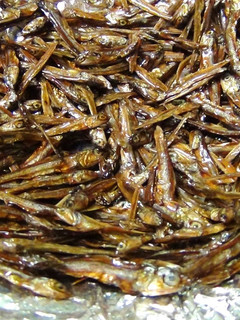 ごまめ(田作り)-レシピのメイン写真