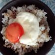 濃厚卵黄の温泉卵風