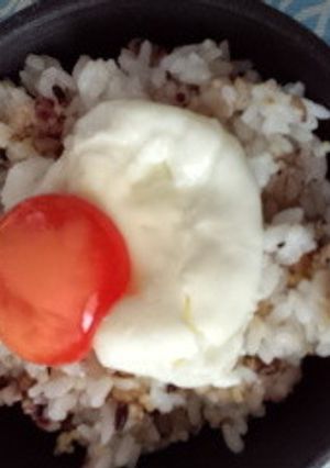 濃厚卵黄の温泉卵風-レシピのメイン写真