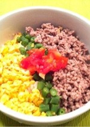 犬ごはん＊三色そぼろ丼-レシピのメイン写真
