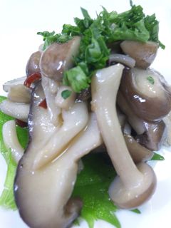 酒ツマ キノコのオリーブオイル炒め!-レシピのメイン写真