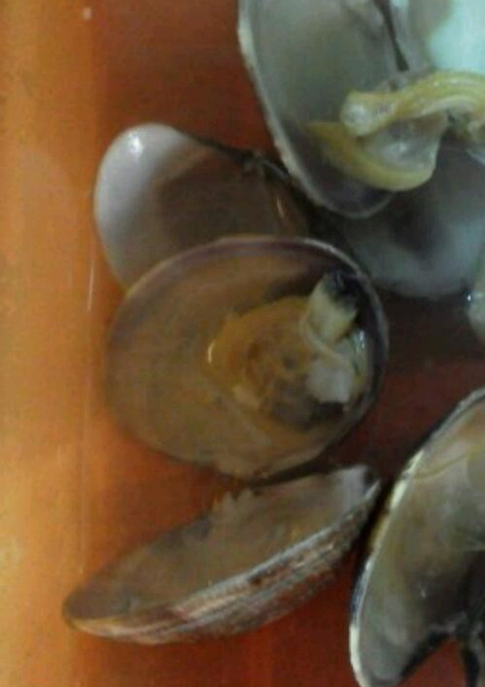 ルクエで浅利の酒蒸し-レシピのメイン写真