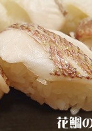 ★アレンジいろいろ★魚の酢締め（基本）-レシピのメイン写真