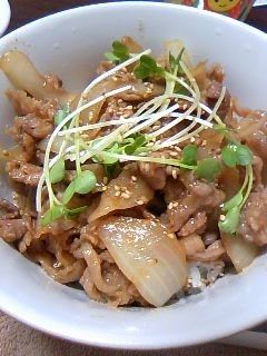 不思議コンビ(°°*)豚丼ドーン♪-レシピのメイン写真