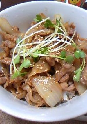 不思議コンビ(°°*)豚丼ドーン♪-レシピのメイン写真