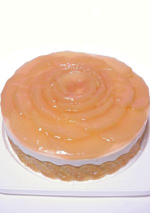 ピンク林檎のヨーグルト ムース ケーキ♪-レシピのメイン写真