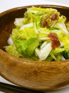 生白菜の梅あえサラダ-レシピのメイン写真