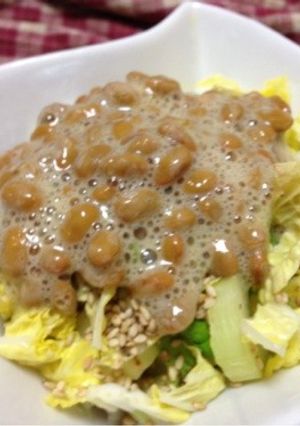 納豆ドレッシング on the 白菜-レシピのメイン写真